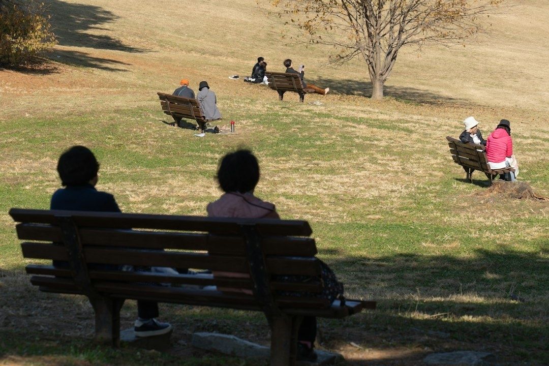 Menschen sitzen auf Bänken auf einer offenen Rasenfläche
